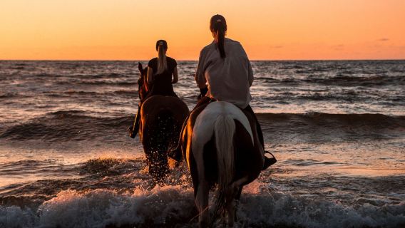 Pferdereiten-Tour in Marsa Alam mit Aktivität am Strand und in der Wüste