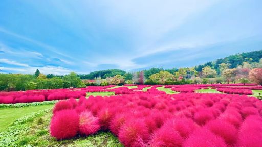 北海道:定山溪溫泉+豐平峽水壩+支笏湖+由仁花園 秋季賞楓一日遊 北海道:定山溪溫泉+豐平峽水壩+支笏湖+由仁花園 秋季賞楓一日遊