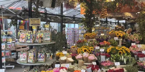 荷蘭阿姆斯特丹水壩廣場-水上花園-梵高博物館一日遊-無門票