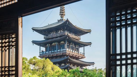 Hangzhou half-day food tour: Damalong + Qing He Fang + Southern Song Imperial Street + Zhu Bingren Bronze Art Museum + authentic snacks