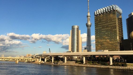 Lawatan sehari disesuaikan di Jepun Tokyo + Kuil Asakusa + WJS Ginza + kawasan bandar Shibuya [Sewaan peribadi dalam bahasa Cina dengan pengangkutan dari rumah]