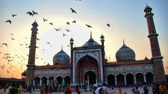 Delhi: Old and New Delhi Private Full or Half-Day Car Tour