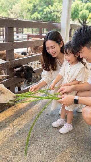 Classic one-day tour in Yilan | Lanyang museum, animal kingdom, and Chumi farm with scallion pancake experience
