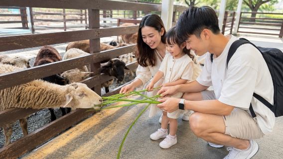 Classic one-day tour in Yilan | Lanyang museum, animal kingdom, and Chumi farm with scallion pancake experience
