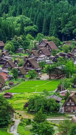 名古屋週邊包車：郡上八幡+高山陣屋+白川鄉【不含門票】