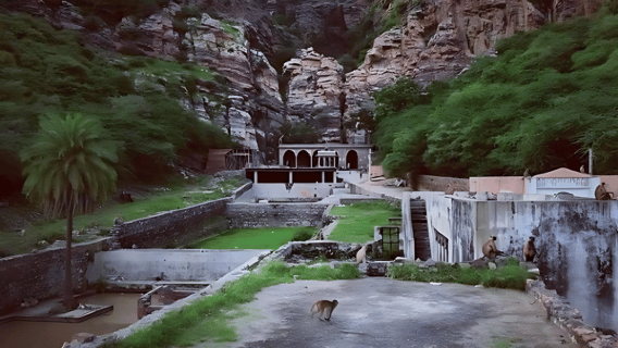 Bundi: Ramgarh Vishdhari Tiger Reserve Jeep Safari Ticket