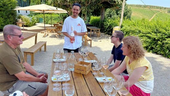 Douro Valley: Wine Tasting at Quinta de Sequeiros