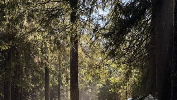 Oslo’s Most Beautiful Fjord Views - light hike version