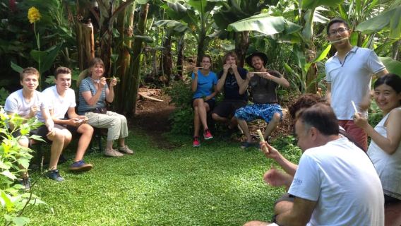 La Palma: PlatanoLógico Edible Forest Sightseeing Tour