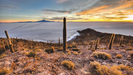 Uyuni: 1-day Uyuni Salt Flat Tour + Sunset and Lunch
