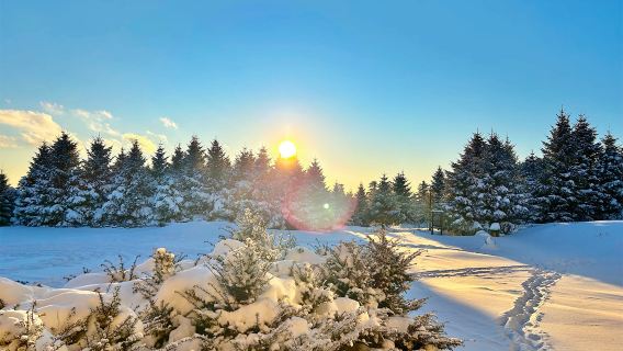 長白山霧凇漂流 + 雪嶺 / 老裏克湖一日遊｜6人團上門接送