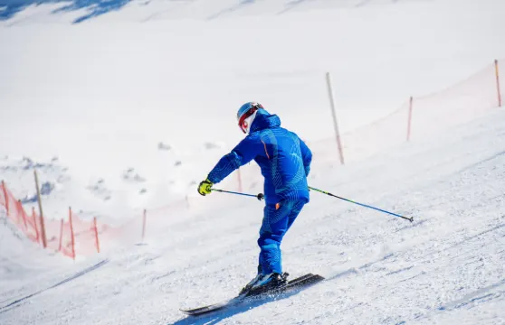 韓國伊利希安江村滑雪度假村+魚飛溪谷冰川一日遊 (首爾出發,含衣服課程)