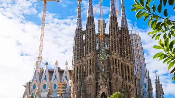 巴塞隆拿大教堂+聖家族大教堂+巴特羅之家+米拉之家【不含門票】