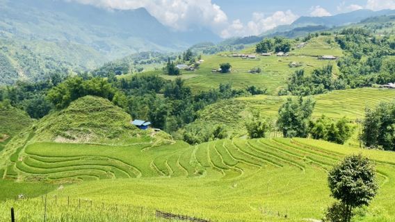 From Hanoi: Sapa Tour by Luxury Dcar – Cat Cat, Fansipan, Ham Rong and Local Village 