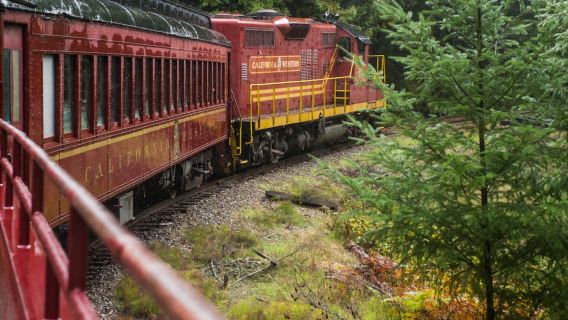 Skunk Train: Pudding Creek Express