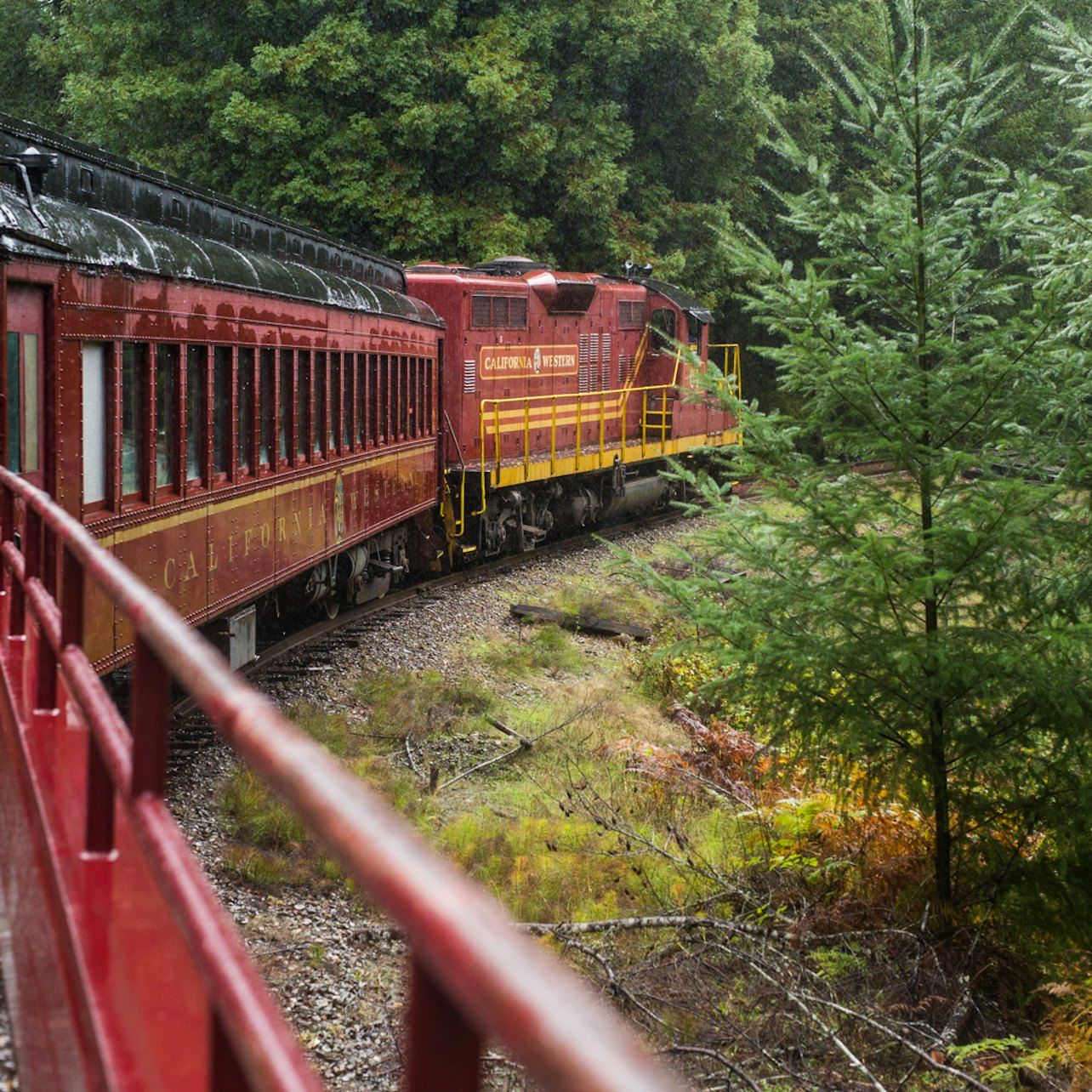 Skunk Train: Pudding Creek Express