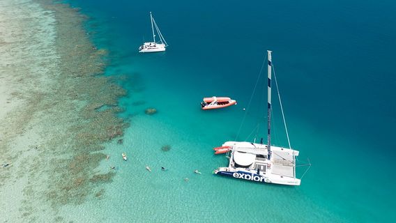 Hamilton IslandTours