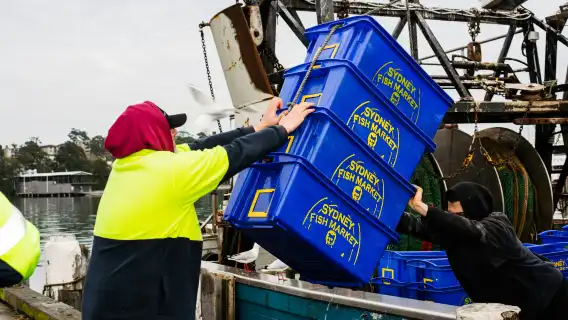 Sydney Fish Market: Behind-the-Scenes Auction Floor Tour
