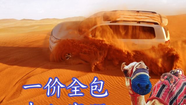 ドバイ砂漠サファリワンデーツアー、高品質の赤い砂+送迎+ラクダ乗り+ディナー+ショー+手描き