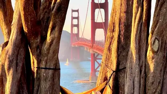 美國舊金山-金門大橋-漁人碼頭-九曲花街+包車【精選老司機】