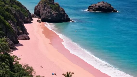 Komodo Speedboot Tagesausflug[6 Haltestellen]|Padar + Rosa Sandstrand + Schnorcheln + Mittagessen