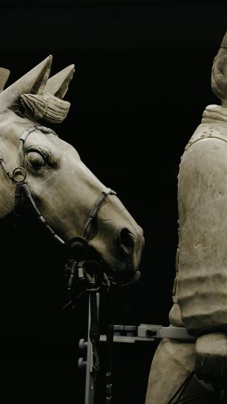 진시황 병마용 박물관 심층 투어 + 장한가