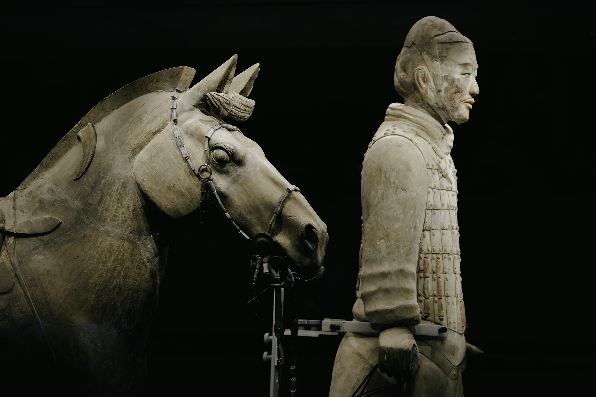 병마용갱 박물관 심층 투어+점심+장한가