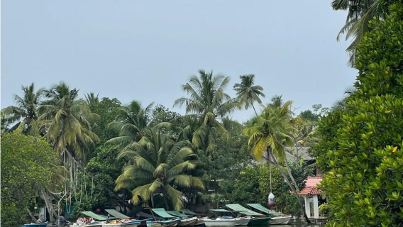 HabaraduwaTours