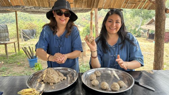 LG Elephant Camp เชียงใหม่ | Living Green | อนุรักษ์ช้าง | ออกเดินทางจากเชียงใหม่