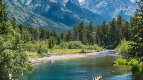 CalgaryTours