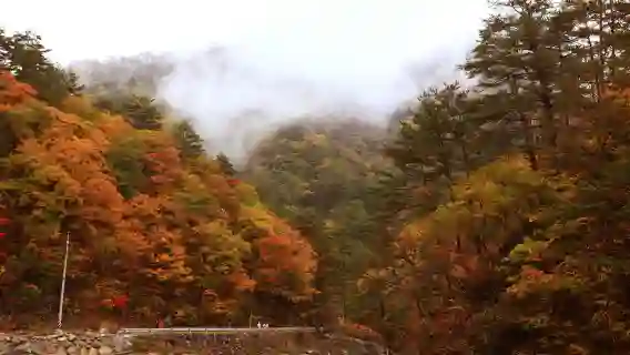 夏秋限定｜首爾出發：雪嶽山+ 南怡島一日遊