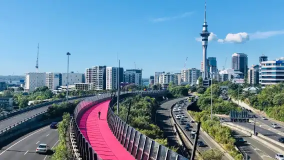 สั่งซื้อหลังการปรึกษา/อาคารสวนสัตว์โอคแลนด์ ภูเขาเอเดน จัตุรัสควีนอลิซาเบธ/สนามบิน/บริการรถยนต์แบบจุดต่อจุด/ไกด์นำเที่ยว/บริการรถยนต์ส่วนตัว