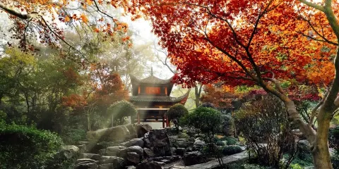 【耳麥講解+純玩】湖南省博物院+嶽麓山+橘子洲長沙一日遊