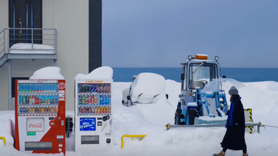 クーポンをゲットして今すぐお得に!【9名様貸切ツアー】北海道 神威岬+小樽+島武井+余市蒸留所