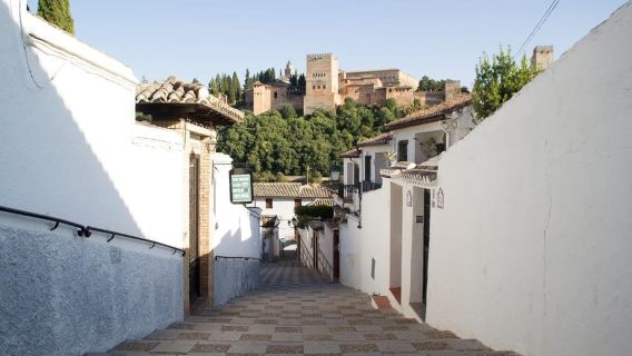 Granada: Albaicín & Sacromonte Walking Tour & Flamenco Show