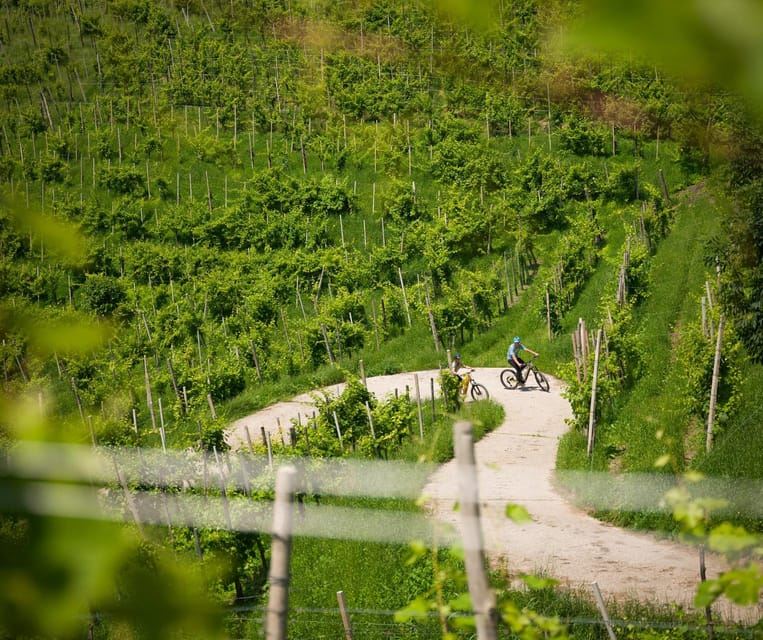 Valdobbiadene: ทัวร์จักรยานไฟฟ้าแบบมีไกด์นำเที่ยวด้วยตนเองใน Prosecco Hills