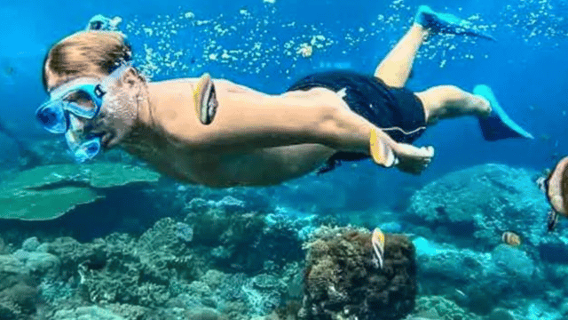 Oman : Snorkeling in Daymaniyat Islands