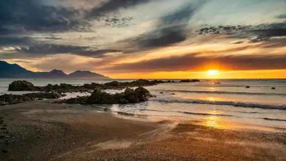 From Christchurch: Kaikōura Day Tour With Whale Watching