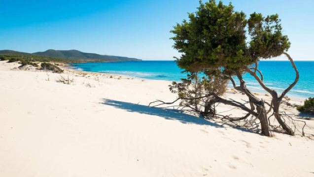 Beach Tour Porto Pino & Piscinnì from Cagliari