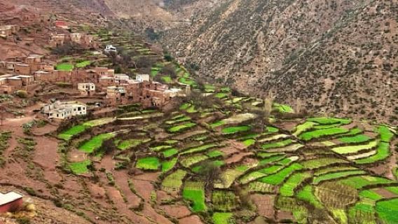 Joyas ocultas: Cascadas de Ourika en las montañas del Atlas
