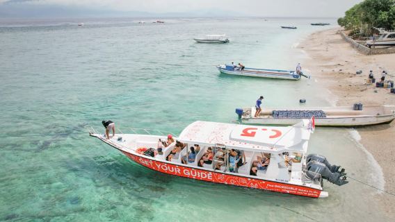 Dari Bali: Snorkeling di Manta Point Nusa Penida & Tur Darat