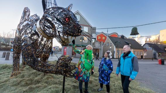 Reykjavik : visite privée à pied de Noël