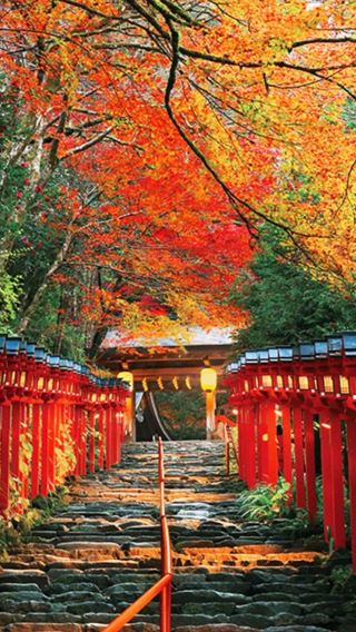 【9名様限定プレミアムツアー】京都貴船神社+嵐山+三千院ワンデーツアー