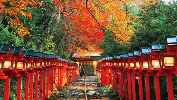 Kyoto Kibune-Schrein + Arashiyama + Sanzen-in Temple 9-Person Premium-Kleingruppe, Herbstlaub-Betrachtung