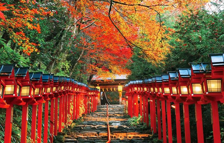 京都貴船神社+嵐山+三千院9人精品小團，納涼避暑，秋季賞楓