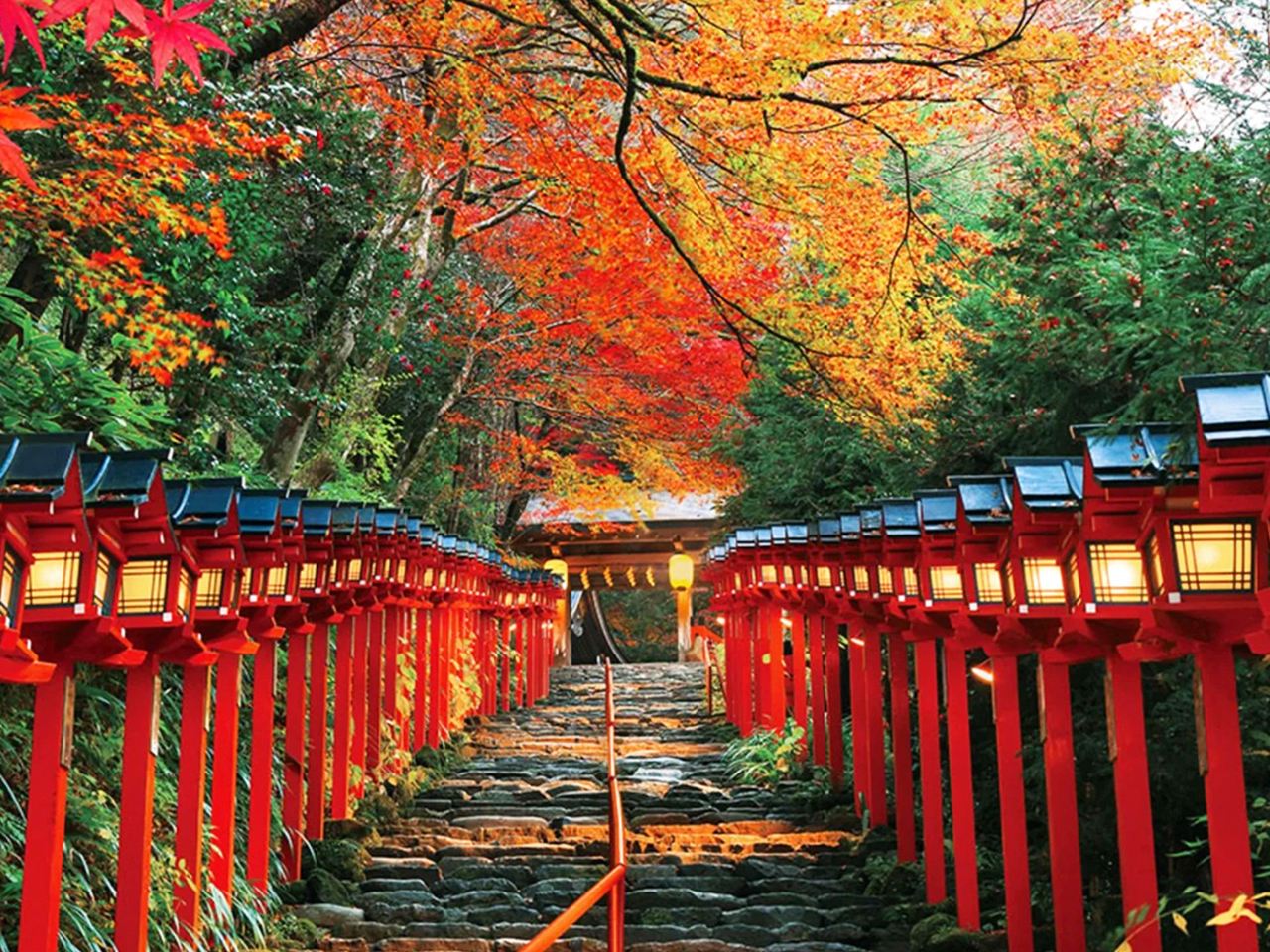 [Piccolo gruppo premium di 9 persone] Tour di un giorno a Kyoto: Santuario Kifune + Arashiyama + Sanzen-in, ammirando i colori autunnali degli aceri