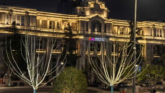 Tour nocturno a pie por Wuhan: Expedición nocturna en el "Chicago oriental" de Wuhan