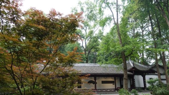 Chengdu: Tiket Masuk Museum Pondok Jerami Du Fu untuk Dewasa
