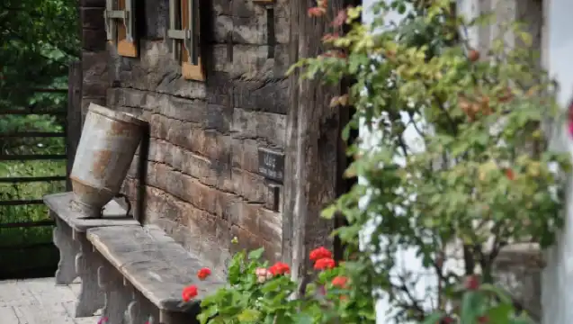 Salzburger Freilichtmuseum: A Journey Through Time