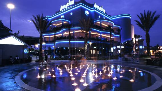 Houston: Downtown Aquarium All Day Pass